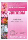 Diploma 