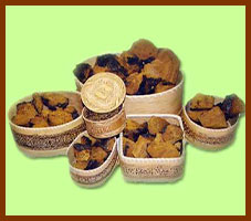Fresh Chaga mushroom chunks neatly arranged in traditional birch baskets