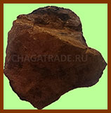 Processed chaga chunk with a rough, dark exterior and a fibrous brown interior.