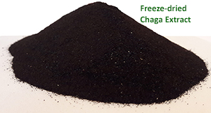 Chaga powder
