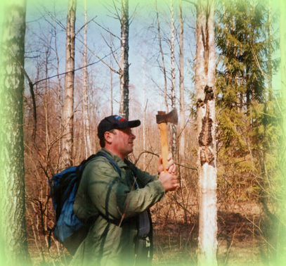 chaga-cutting-off