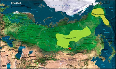 Map of chaga growth area Chaga map