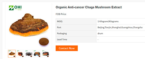Example of fake chaga sold by Chinese manufacturers, showing a different texture and appearance from real wild chaga.