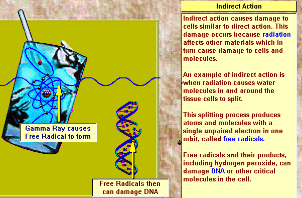 free-radicals