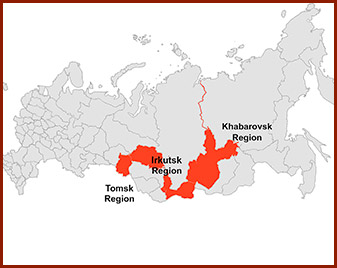 Map highlighting Irkutsk, Tomsk, and Khabarovsk regions where wild Siberian chaga is harvested